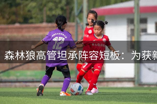 森林狼高管坦承阵容短板：为获新星忍痛割爱 补强计划持续推进