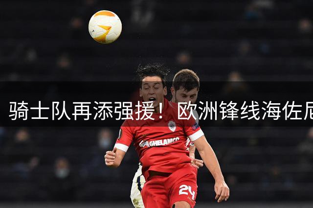 骑士队再添强援！欧洲锋线海佐尼亚签下1年280万合约