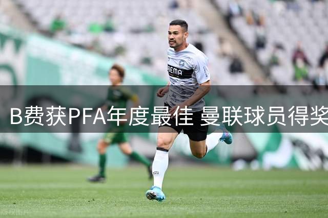 B费获PFA年度最佳 曼联球员得奖总数领先全英
